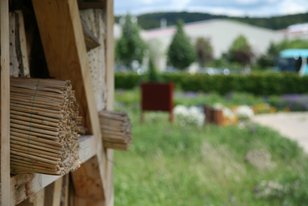 Nahaufnahme eines Wildbienenhauses aus Holz mit Röhren, unscharfer Garten und Landschaft im Hintergrund bei der Eröffnung