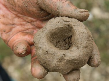 Eine Hand hält eine aus Erde geformte Kugel in der Hand, die Kugel hat oben eine eingedrückte Mulde.