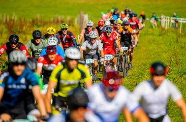 Gruppe von Radfahrern in bunter Sportkleidung fährt auf einem Feldweg bei sonnigem Wetter
