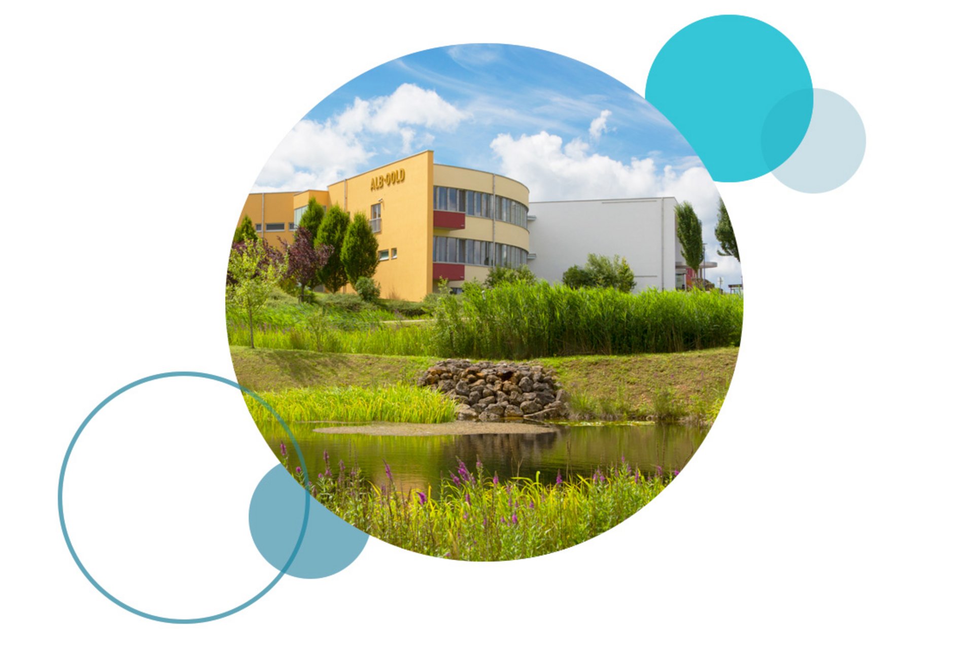 Modern building with yellow and white facade near a pond surrounded by green grass and trees under a blue sky