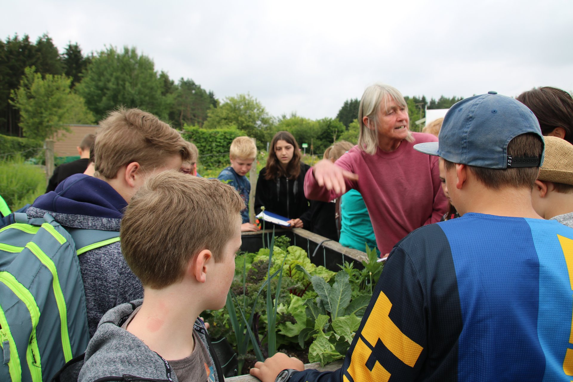 Eine Gruppe von Kindern lernt über Gartenkräuter in einer Führung.