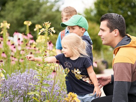 Ein Mann mit zwei Jungen und einem Mädchen, die Blumen in einem Garten betrachten, das Mädchen zeigt auf eine Blume.
