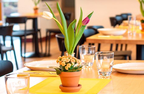 Tischdekoration mit Topfpflanze und zwei Tulpen in einem hellen Restaurant