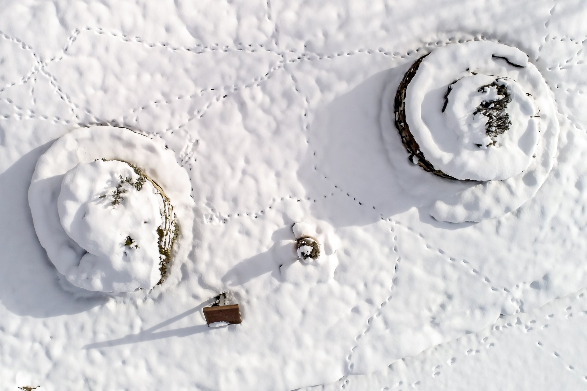  Schneebedeckte Steine im Winter mit Tierspuren