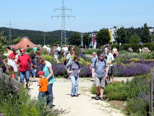 Menschen erkunden einen blühenden Garten an einem sonnigen Tag.