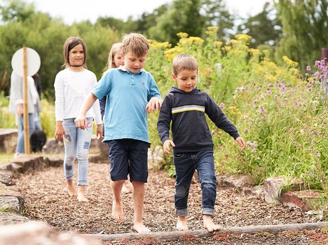 Kinder laufen barfuß auf einem Holzweg im Barfußpark, umgeben von grüner Natur und Wildblumen