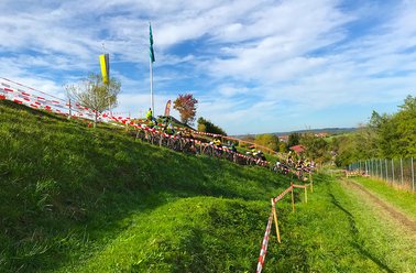 Grüner Hang mit Blumenbeet und blauem Himmel, Weg mit Zaun rechts entlang