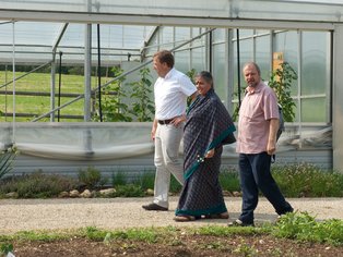 Drei Personen laufen im Naturgarten zwischen Gewächshaus und einer bepflanzten Fläche.