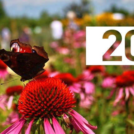 Vielfältige Oase zwischen Nudeln und Natur