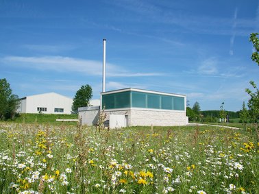Small modern building with large windows surrounded by a wildflower meadow under a blue sky
