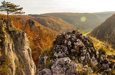 Malerische Herbstlandschaft mit Felsen und Bäumen
