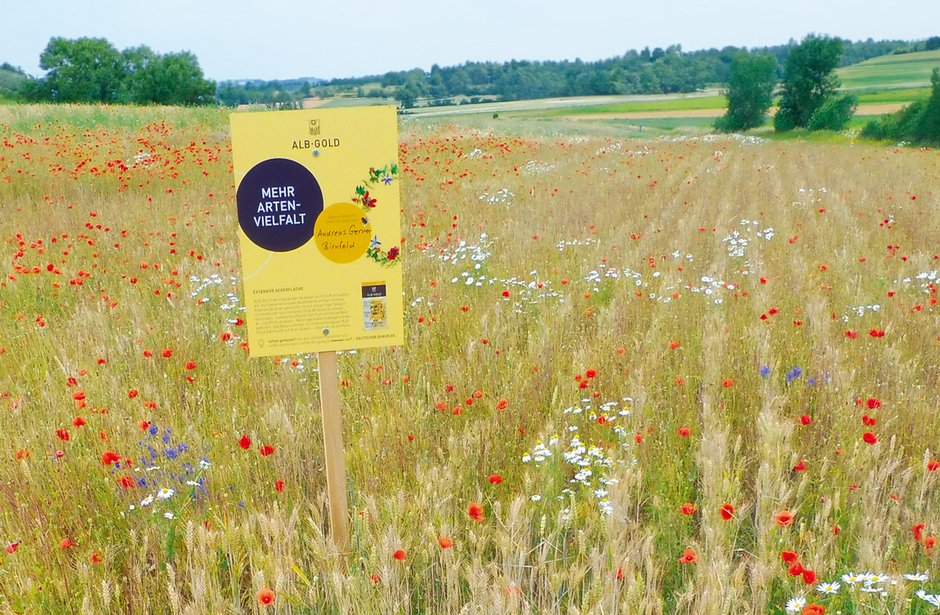 Ein gelbes Schild steht auf einer großen Blumenwiese, dahinter befindet sich eine Wiese und Bäume.