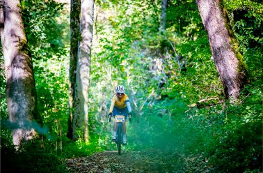 Fahrradfahrer in Sportkleidung fährt auf einem Waldweg umgeben von grünen Bäumen