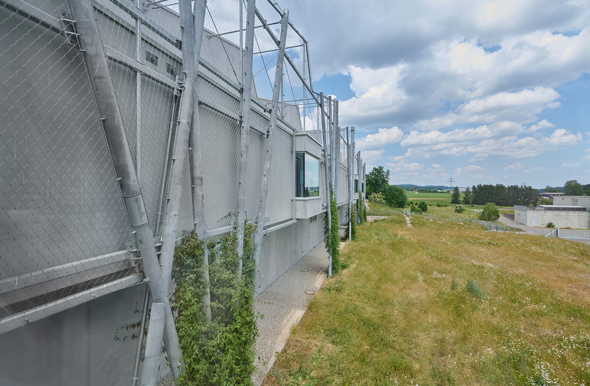 Hohe Metallzaunanlage mit Sichtfenstern entlang eines Gebäudes, daneben eine Wiese unter bewölktem Himmel