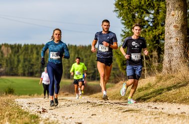 Vier Läufer in Sportkleidung laufen auf einem Waldweg, umgeben von Bäumen und Wiesen