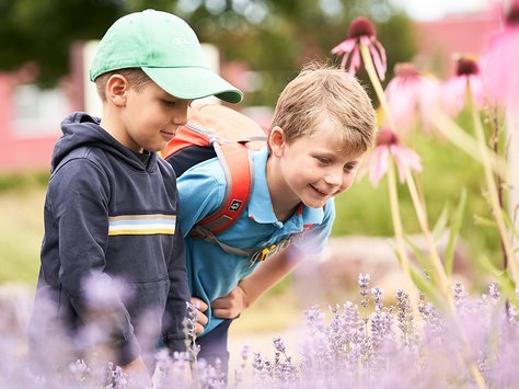 Zwei Jungen mit Rucksäcken schauen neugierig auf lila Blumen in einem Garten