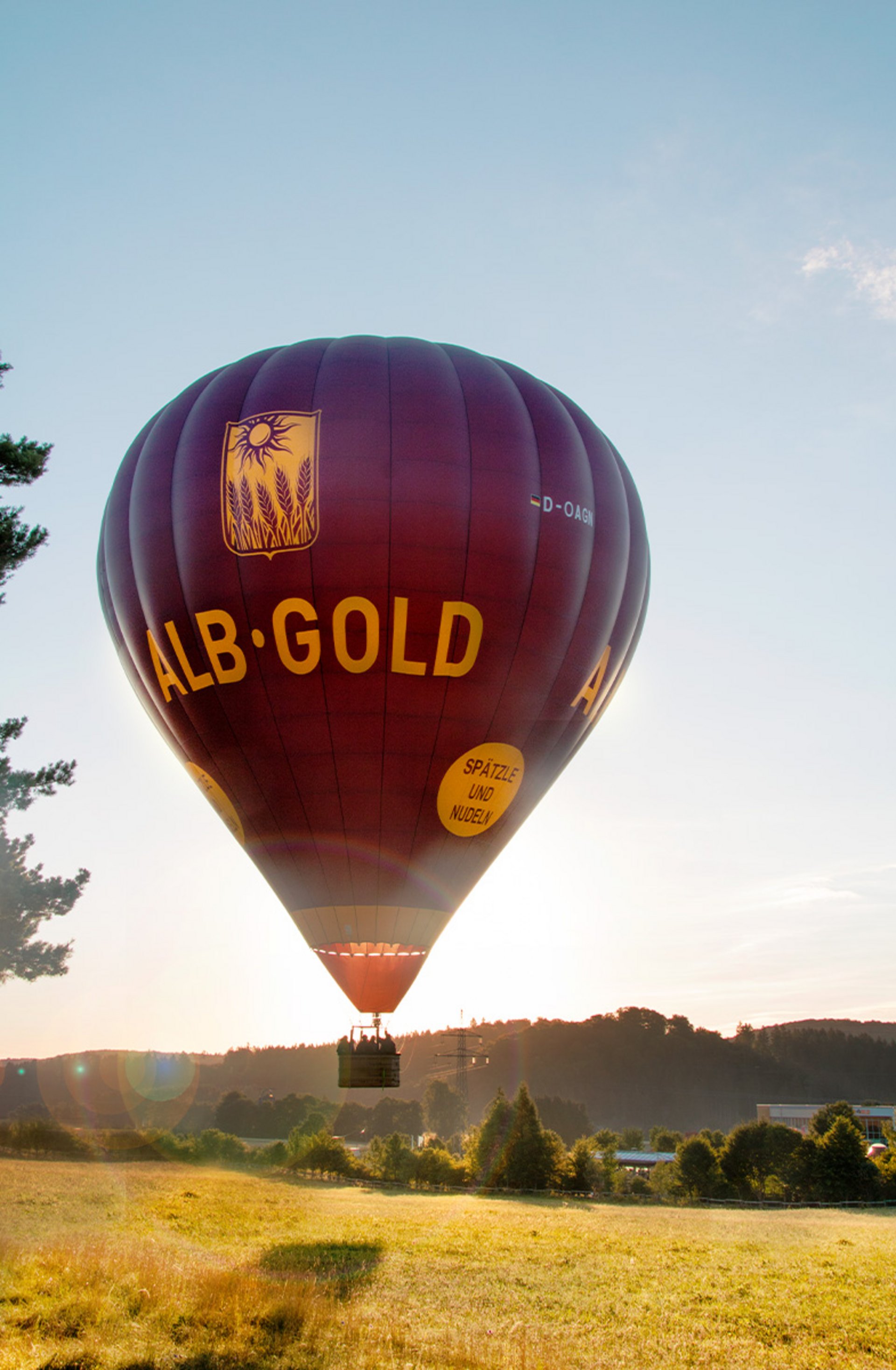 Roter Heißluftballon mit der Aufschrift 'ALB-GOLD' über einer Landschaft mit Bäumen und Hügeln
