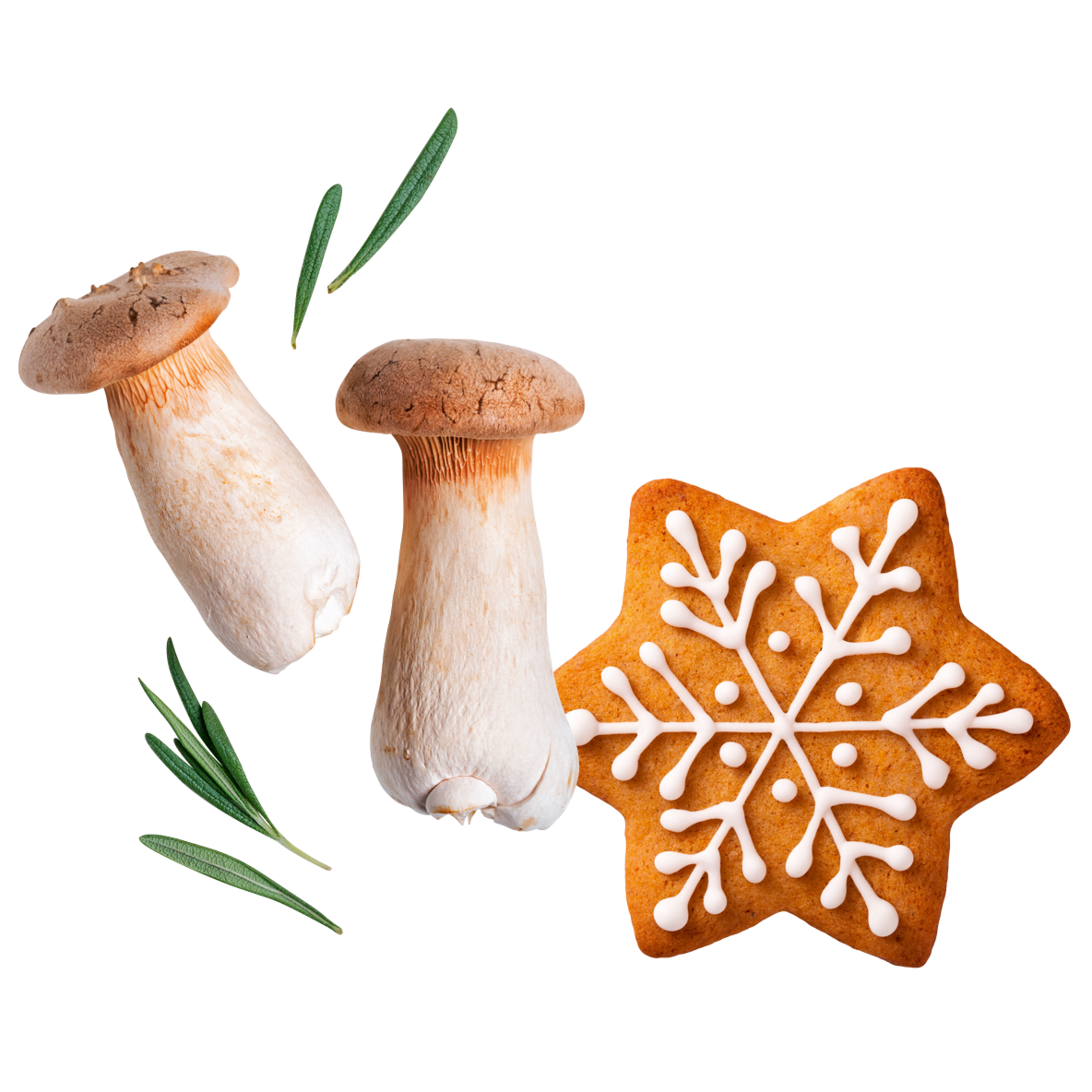 Frische Pilze und ein Weihnachtsplätzchen in Form einer Schneeflocke