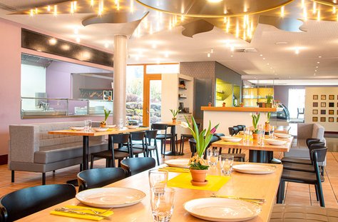 Hell eingerichteter Restaurantbereich mit gedeckten Tischen, schwarzen Stühlen und Pflanzen als Dekoration