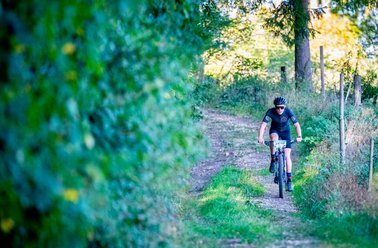 Fahrradfahrer in Sportkleidung fährt auf einem Waldweg umgeben von grünen Bäumen