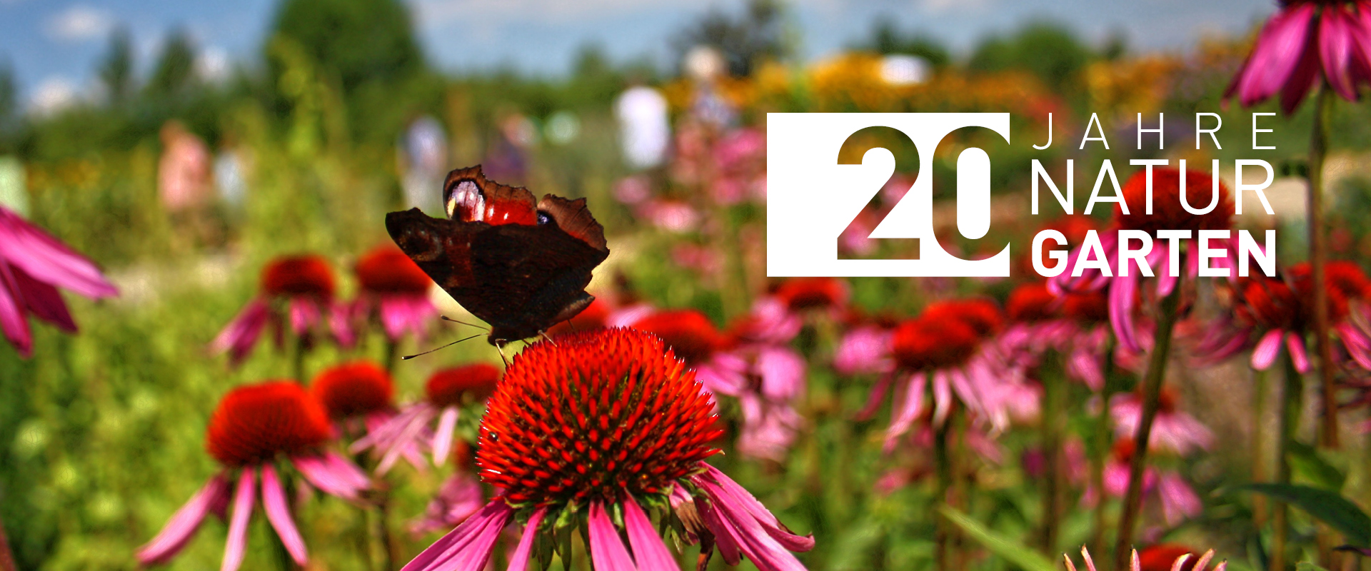 Schmetterling auf roter Blüte im Naturgarten mit Text '20 Jahre Naturgarten'