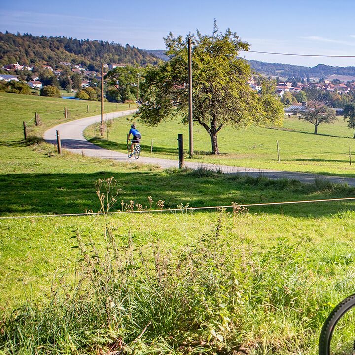  Ein schöner Parkweg mit einem Radfahrer in der Landschaft.